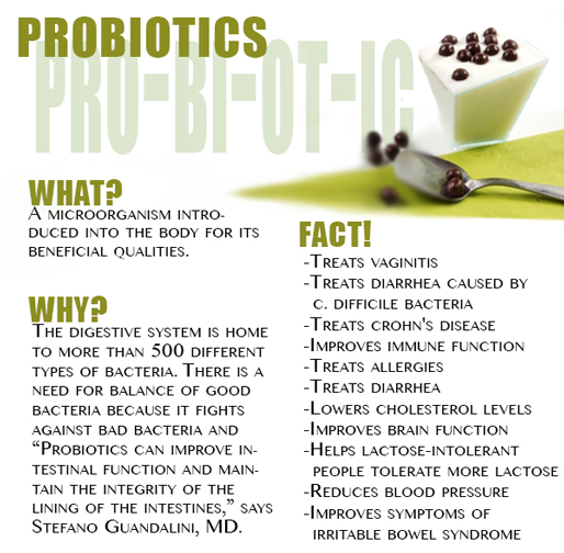 Do Probiotics Work?  Are They Worth The Money?